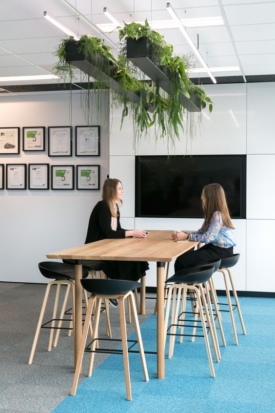 эко-стиль в офисе