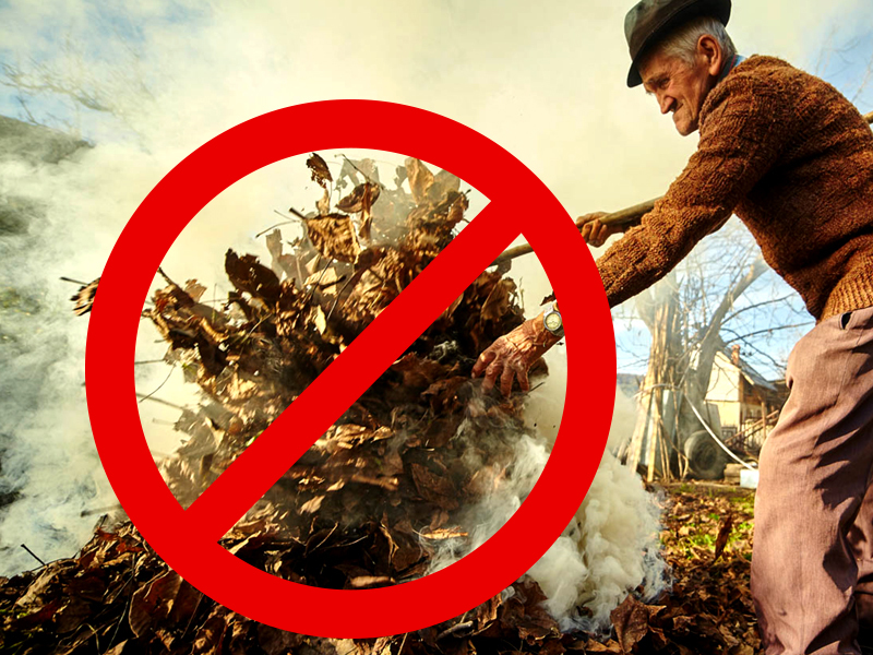 Как избежать пожаров от сжигания листьев и веток?