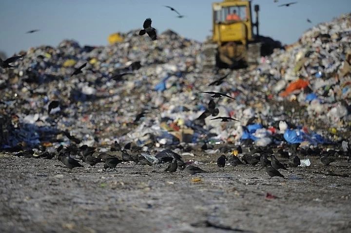 Эколог Алексей Хобот о вреде от свалки около села Вилино