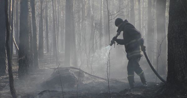 Под Киевом тлеют торфяники