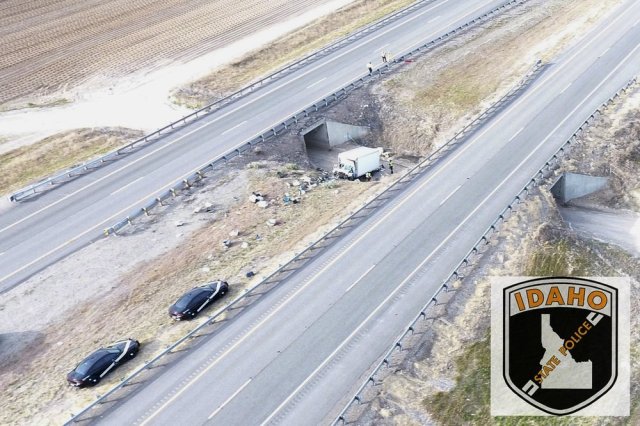 В США в аварии погибли 2 человека и 14 собак (фото)