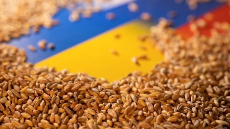 зерно, Літва, украина
