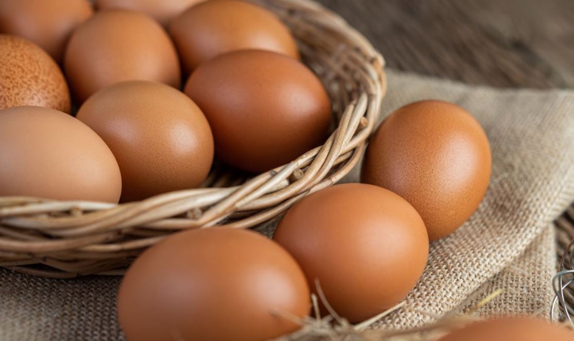 Курячі яйця / Фото freepik