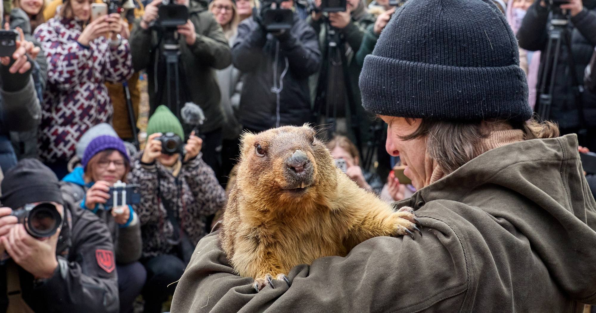 Байбак Тимка III / Фото Facebook Сергей Козлов