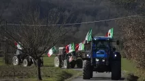 італія, протест, фермери