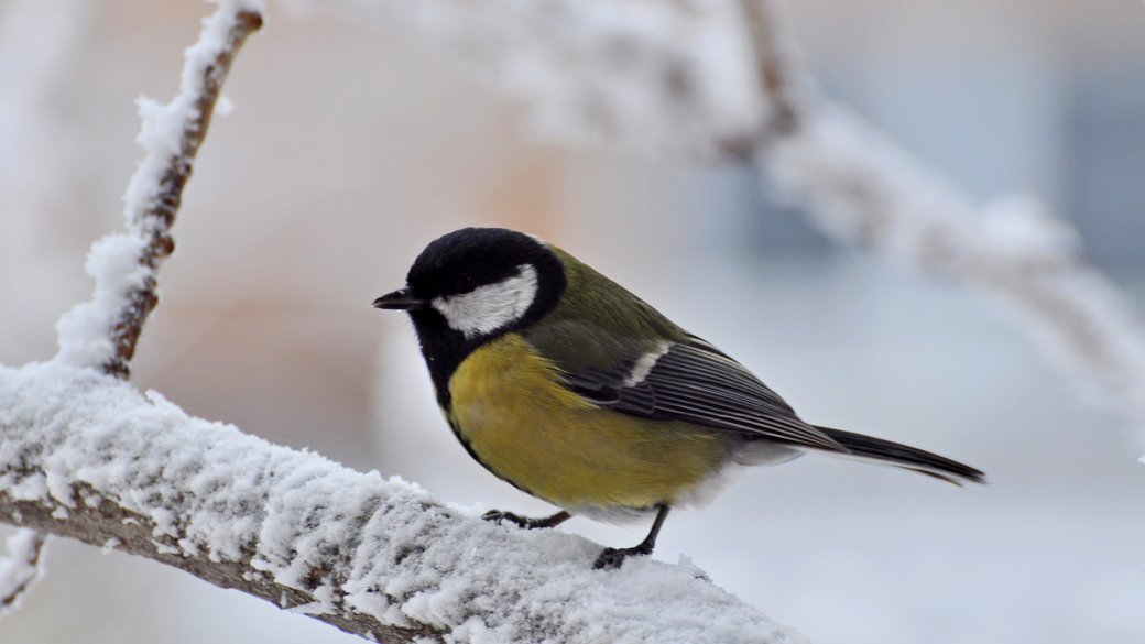Иллюстративное фото НАН Украины