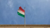 Венгрия, разминирование, украина