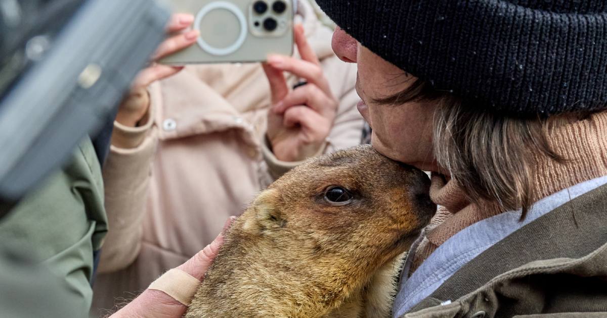 Сурок Тимка III предсказал весеннюю погоду к середине марта / Фото из Facebook Сергея Козлова