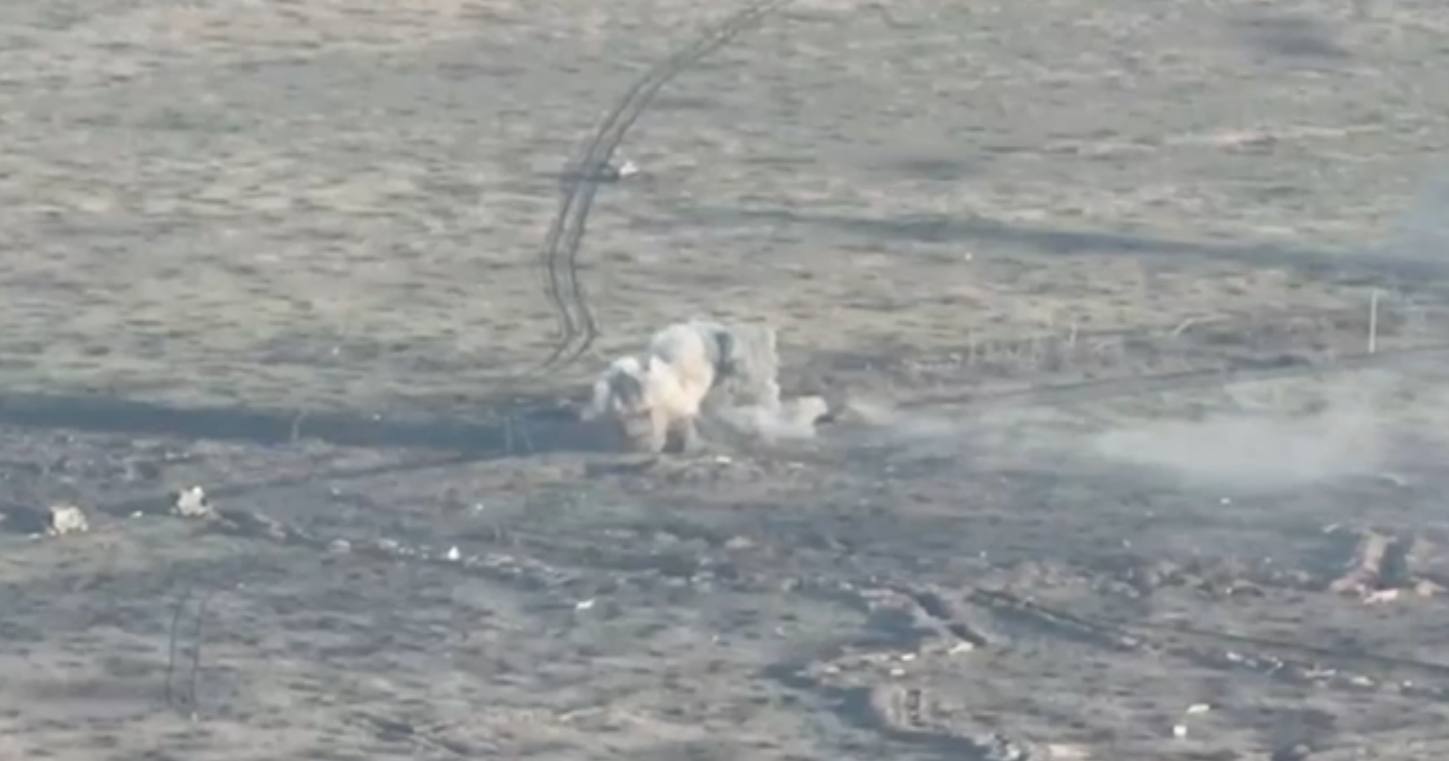 Подрыв российской бронетехники на Запорожском направлении / Скриншот из видео ОК "Запад"