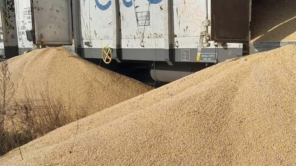 Высыпанное полякам украинское зерно / Фото: Мининфраструктуры