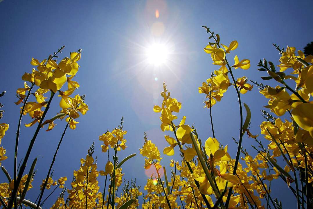 Солнечная погода /Getty Images