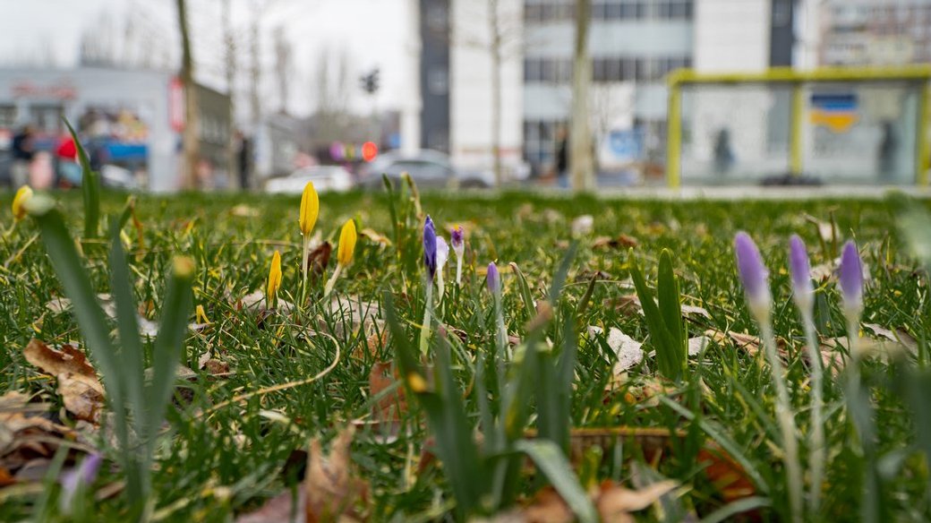 Иллюстративное фото / Фото: Суспільне Дніпро