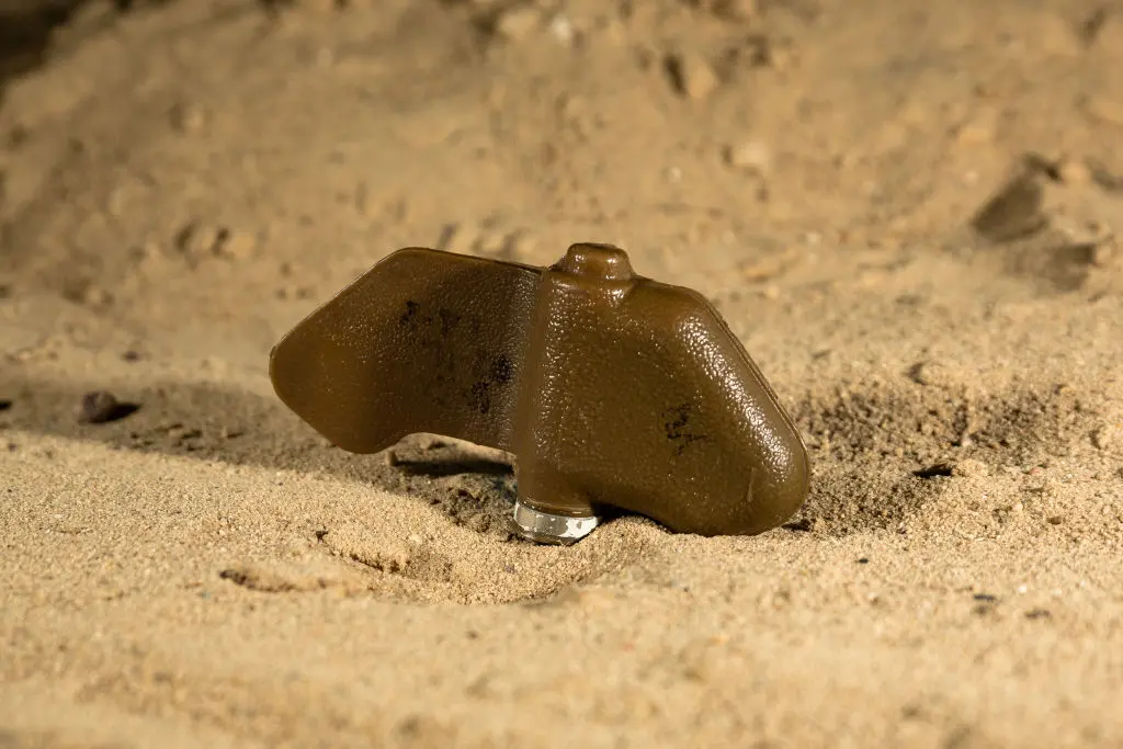 Мина "лепесток" / Getty Images