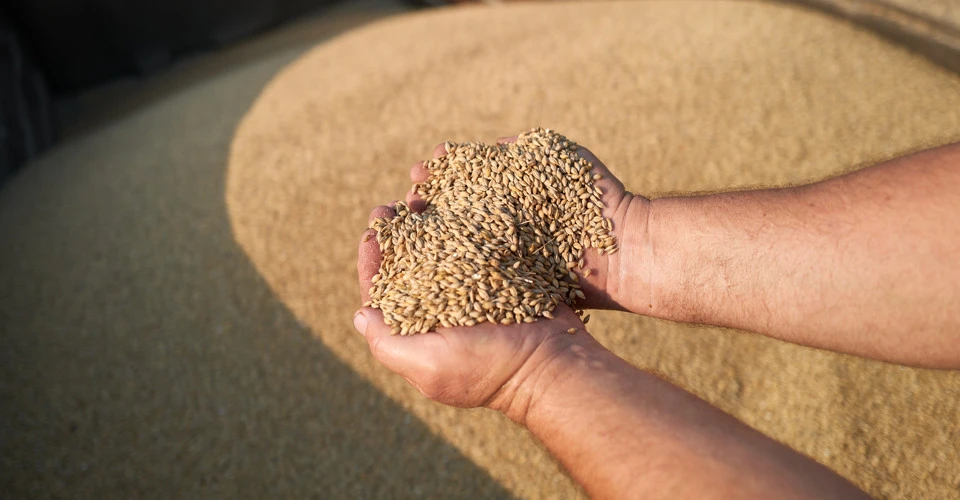 Иллюстративное фото / Getty Images