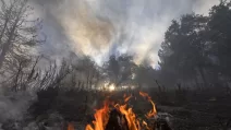 пожежа, Луганська область