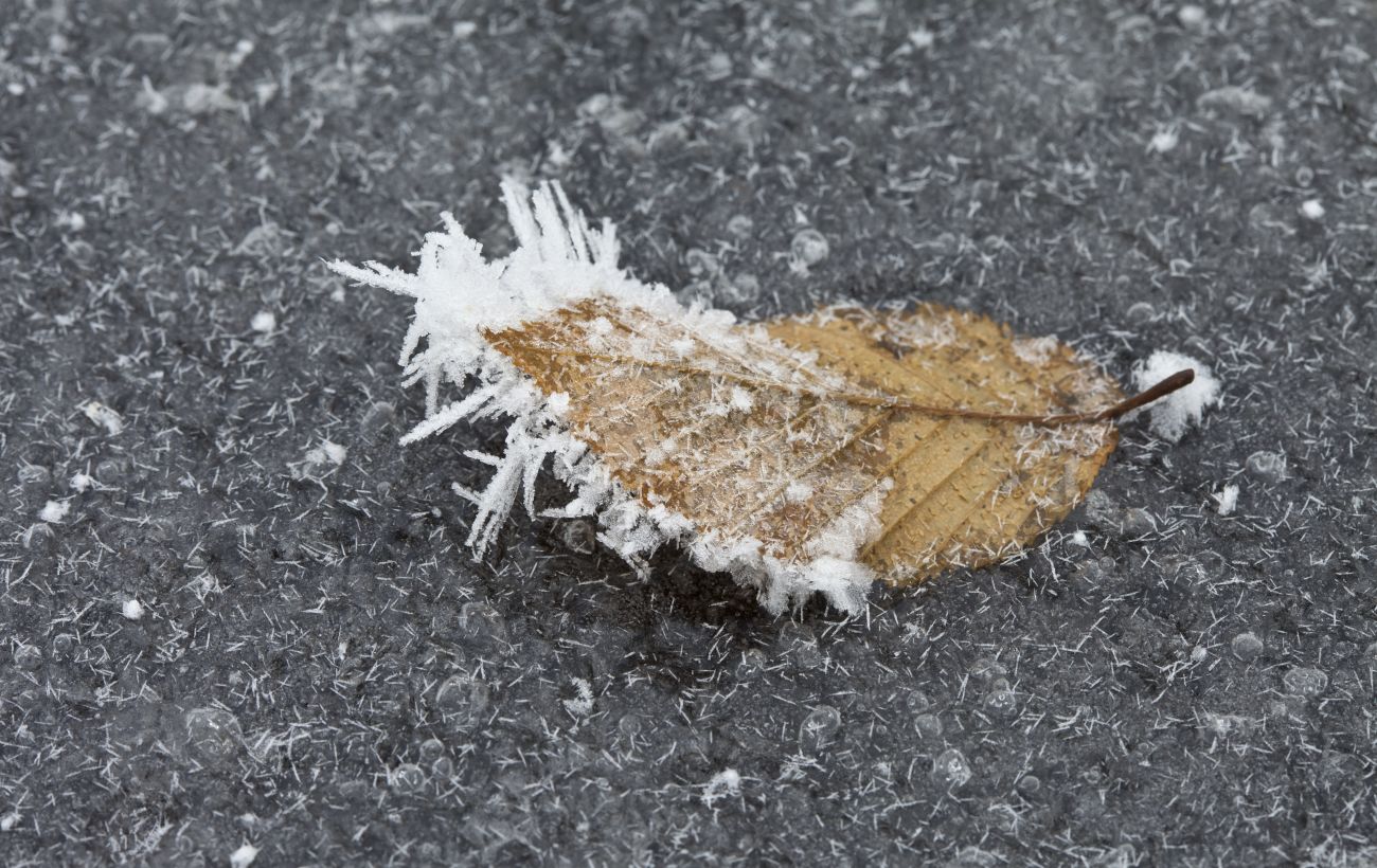 Ілюстративне фото / Getty Images