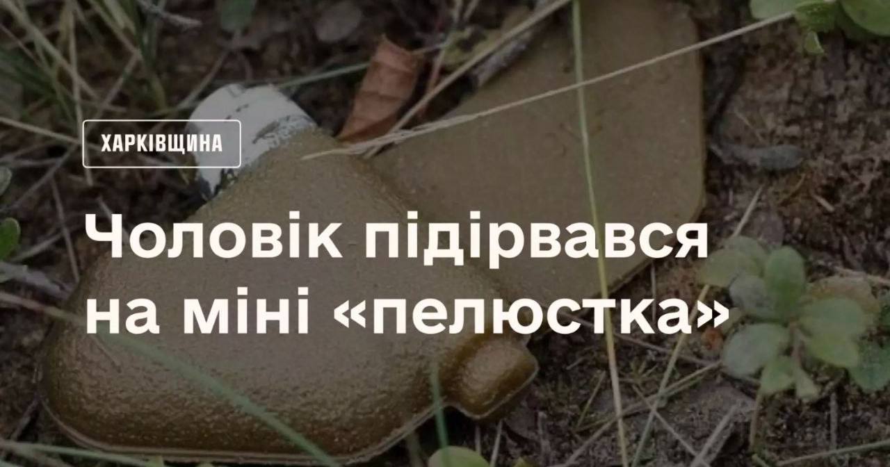 Иллюстрационное фото / Коллаж ГУ ГСЧС в Харьковской области