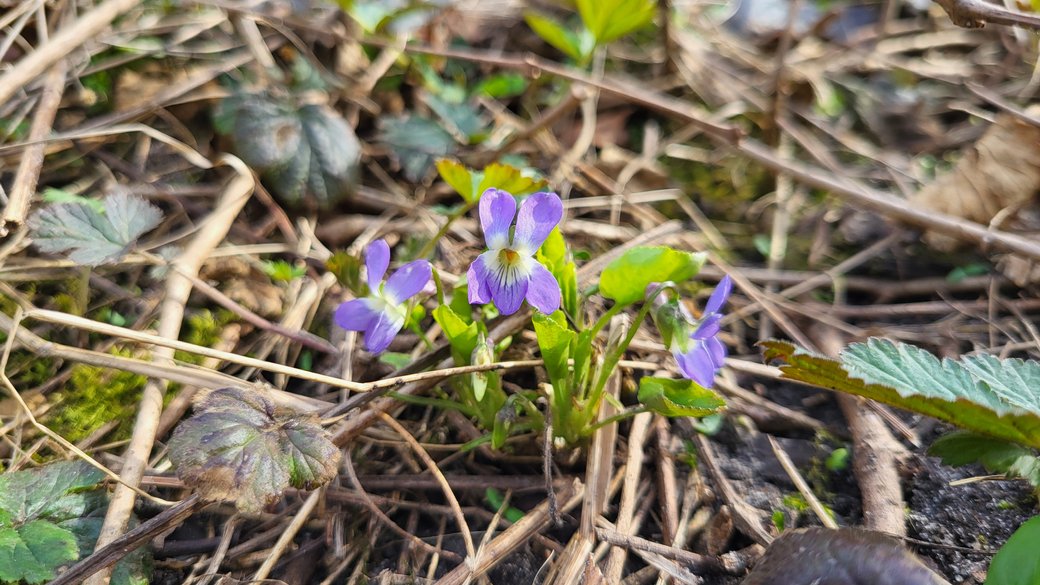 Иллюстративное фото / Суспільне