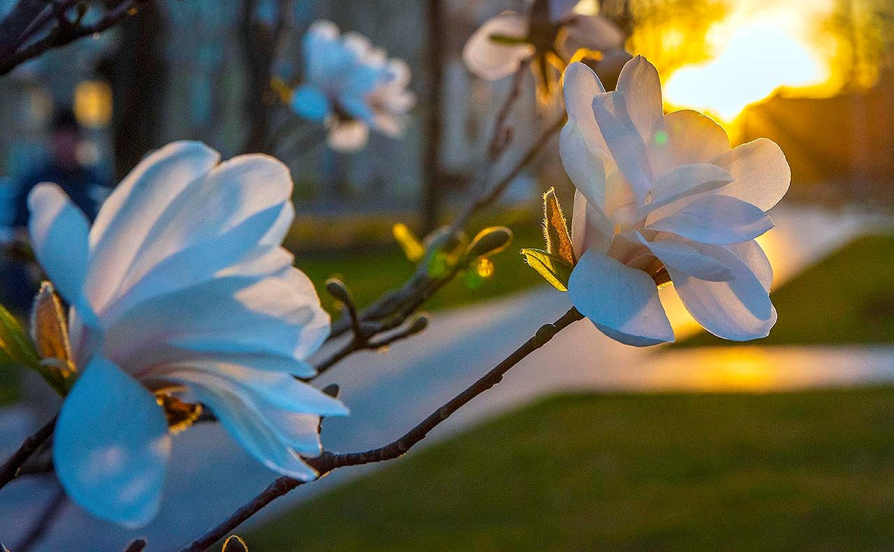 Ілюстративне фото / Getty Images