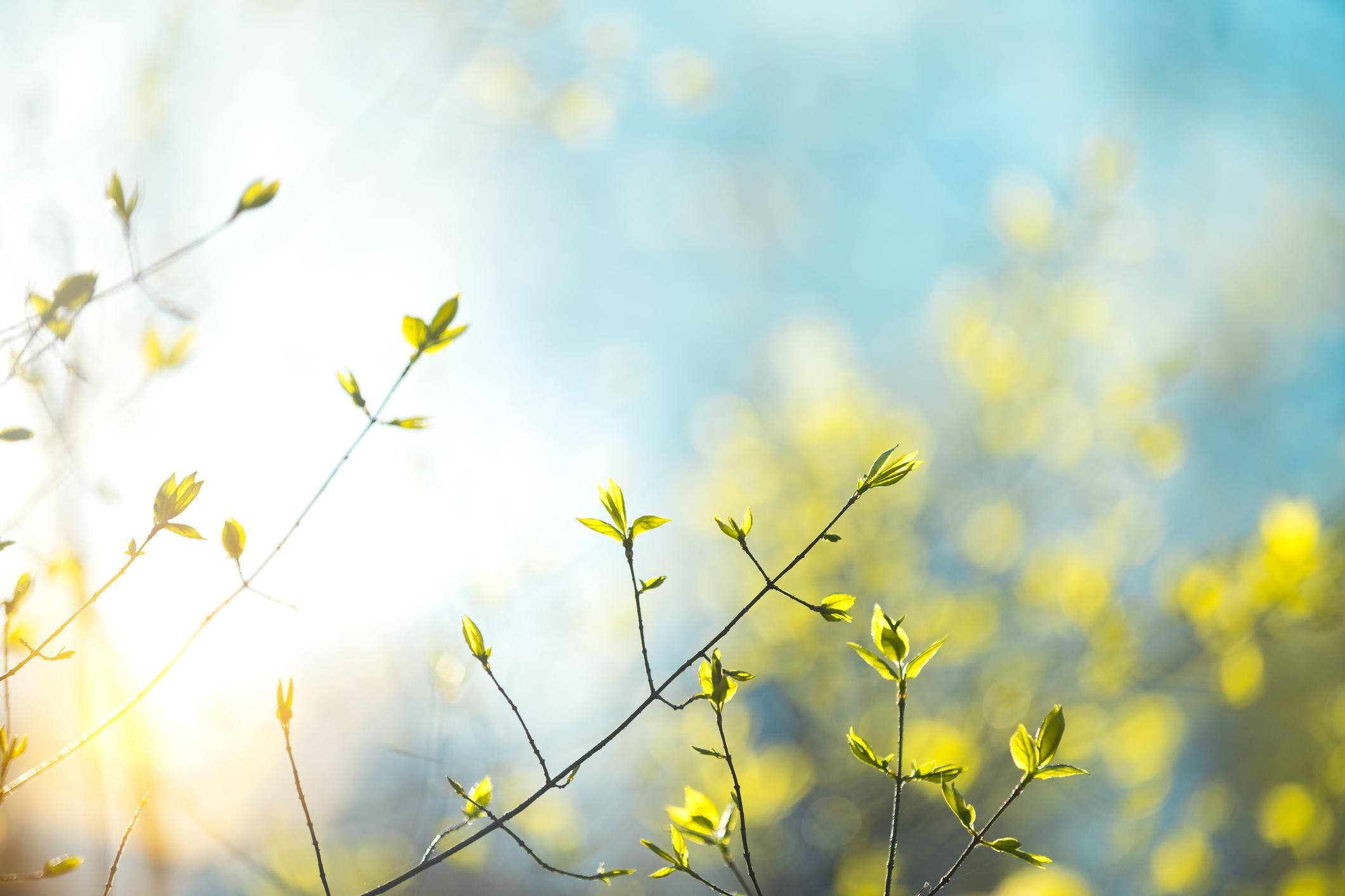 Ілюстративне фото / Getty Images