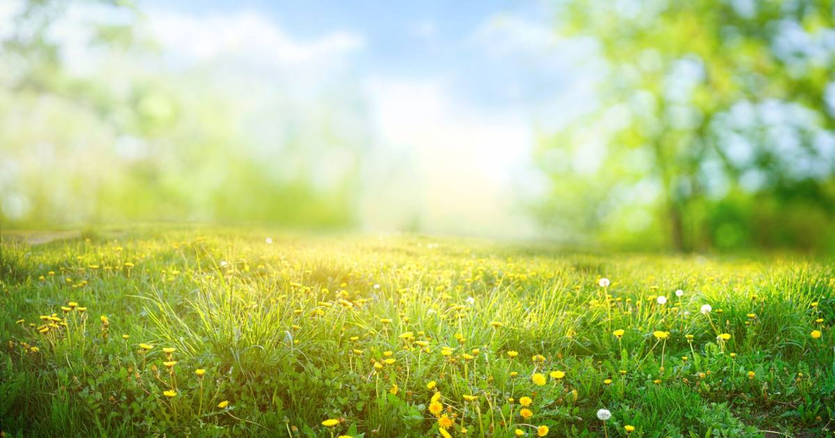 Иллюстративное фото / Фото из открытых источников