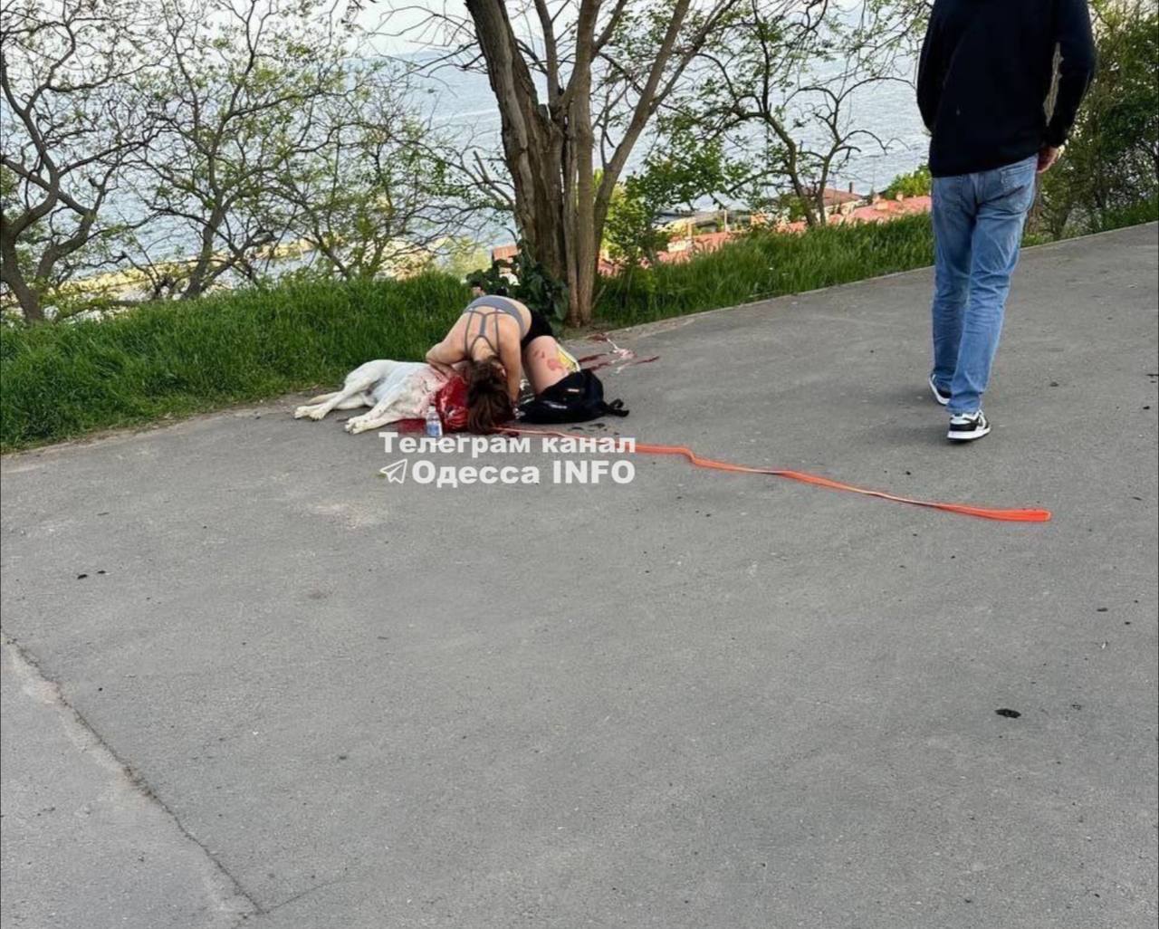 По Одесі завдано ракетного удару: загинуло двоє людей та собака
