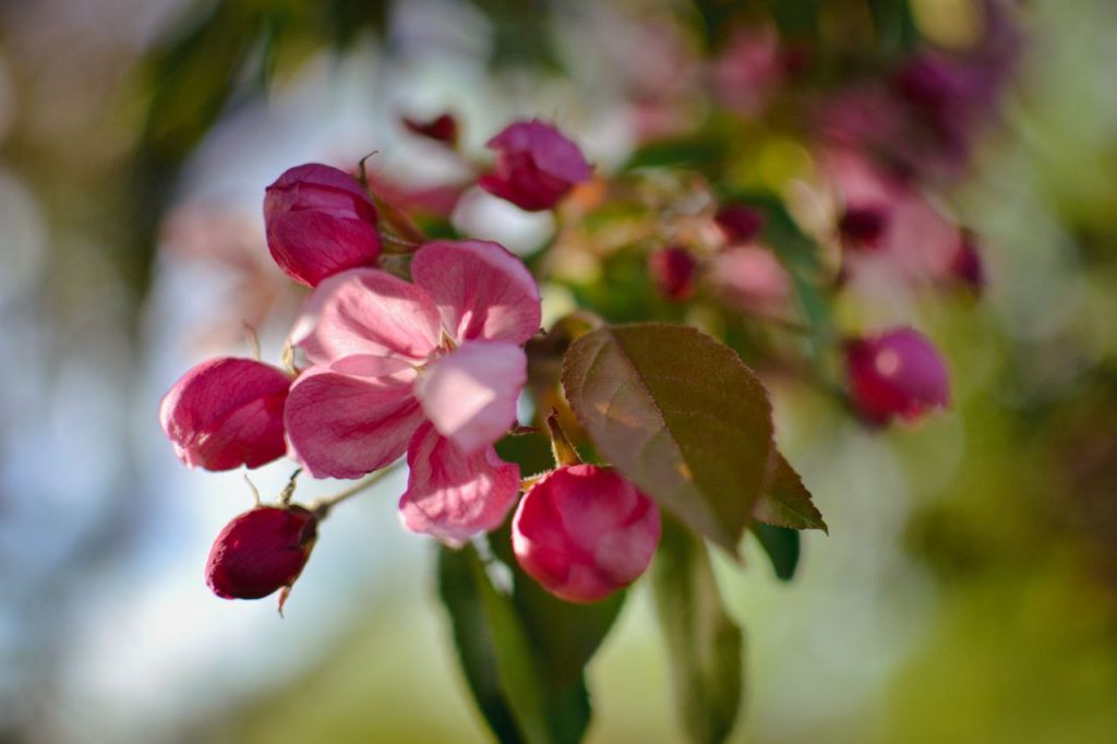 Иллюстративное фото из открытых источников