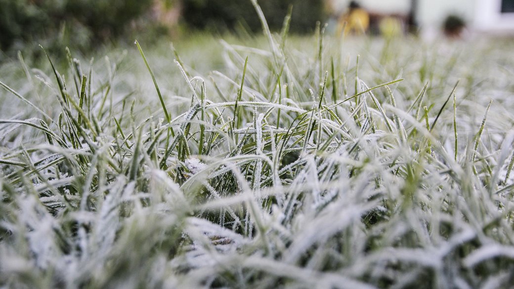 Иллюстративное фото / Getty Images