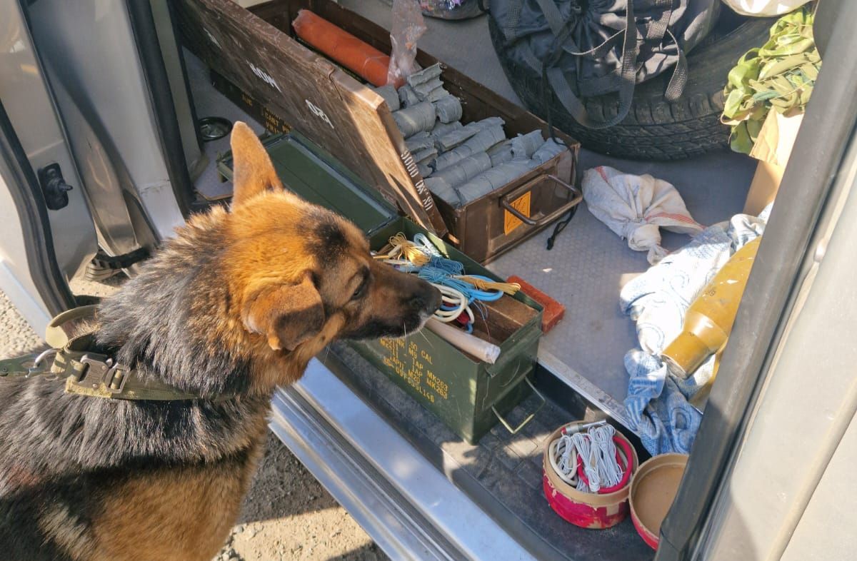 Служебная собака обнаружила опасный груз в машине на блокпосту Харьковщины / Фото: 5-я Слобожанская бригада НГУ