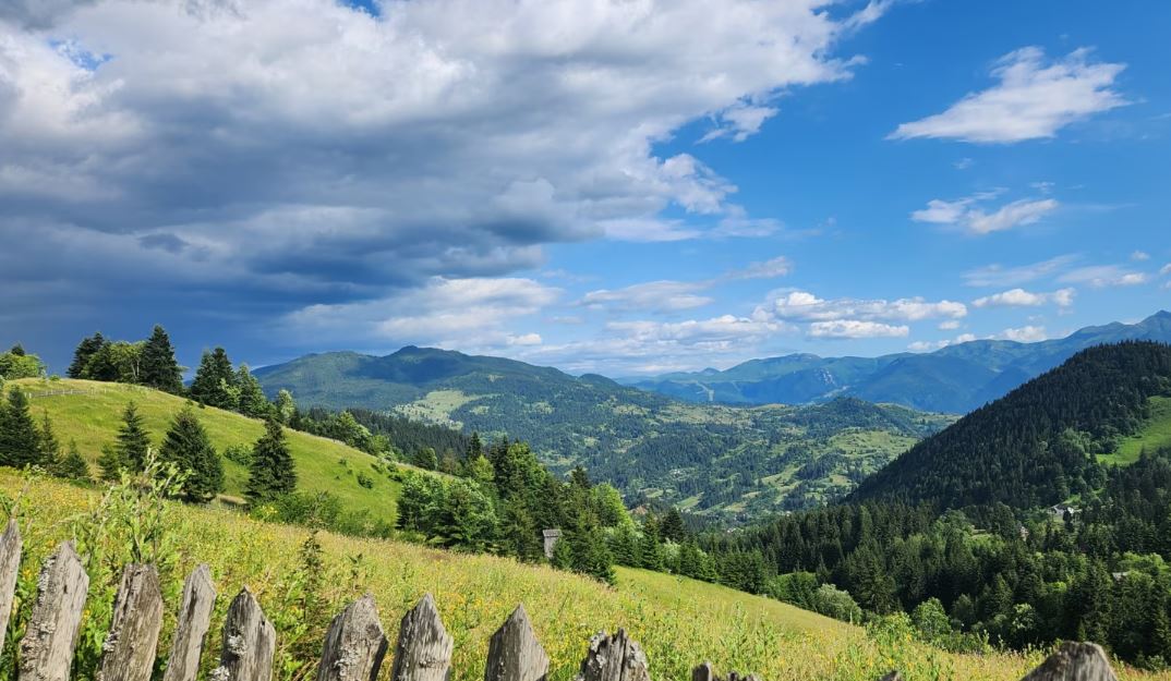 "Зеленая граница" с Украиной на севере Румынии / Фото: Радио Свободы