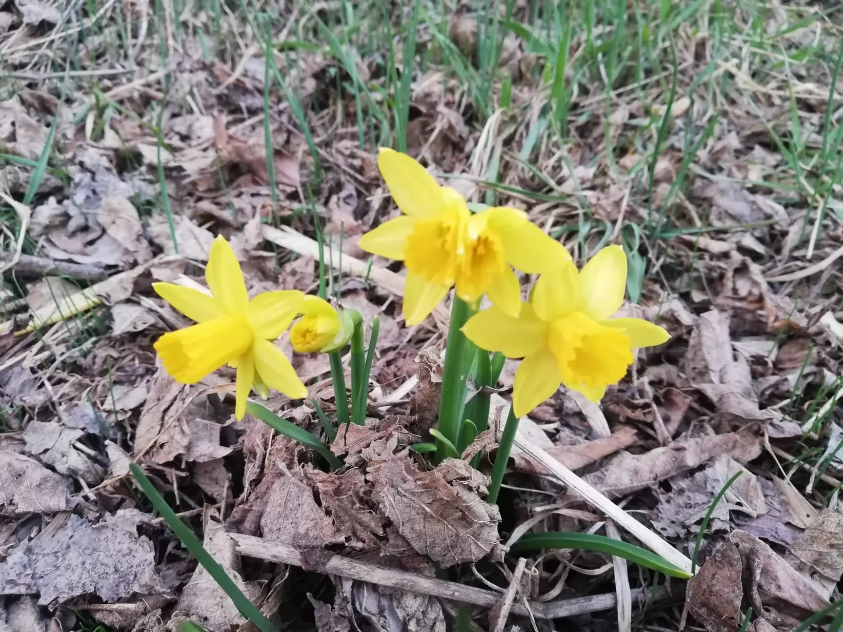 Ілюстративне фото / Getty Images