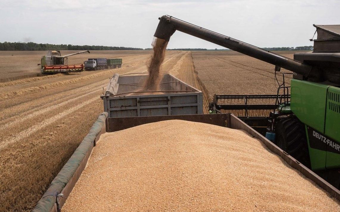 Відвантаження зерна у вагони / Фото УНІАН