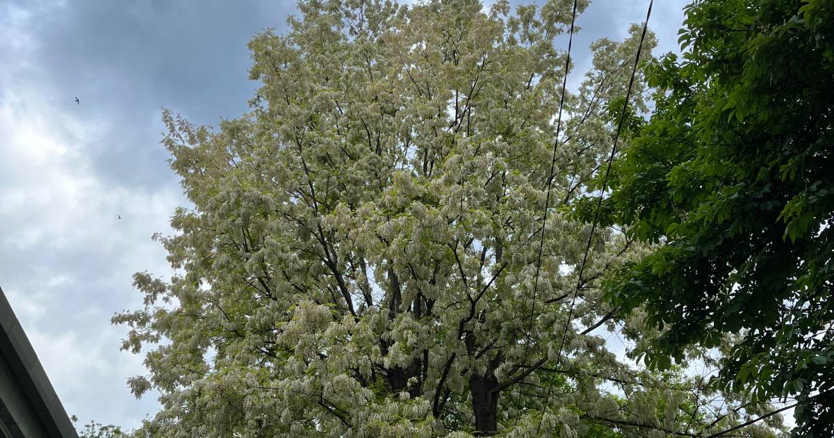 Ілюстративне фото / Фото Glavnoe.in.ua