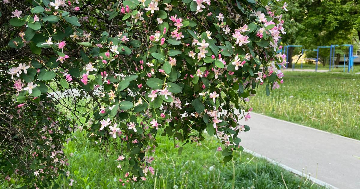 Ілюстративне фото / Фото Glavnoe.in.ua