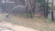 лес, пожар, Харьковская область