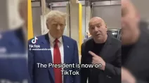 TikTok, трамп