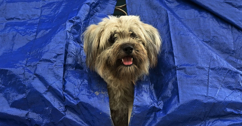 Ілюстративне фото / Getty Images