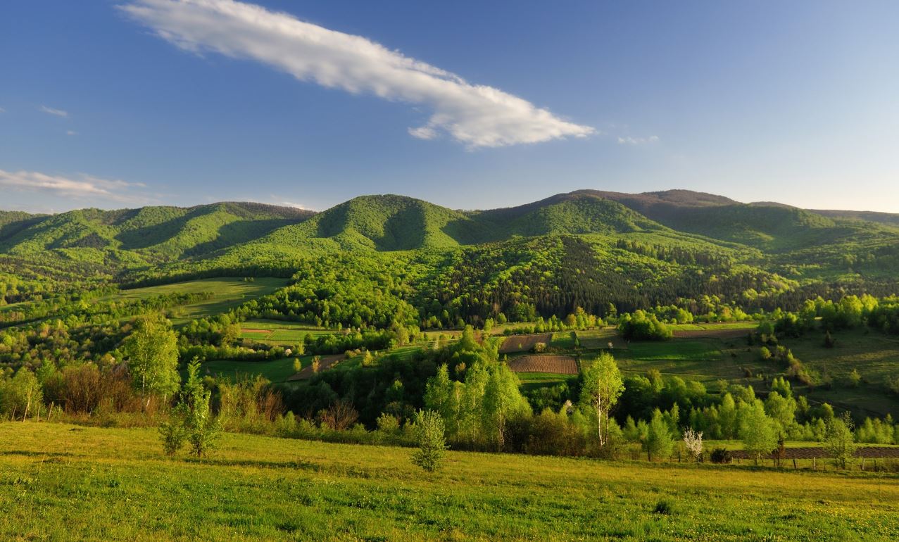 Иллюстративное фото / Ужанский национальный природный парк