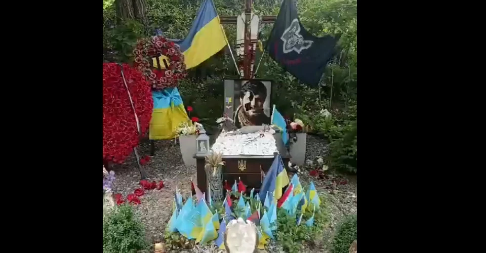 Скрин с видео