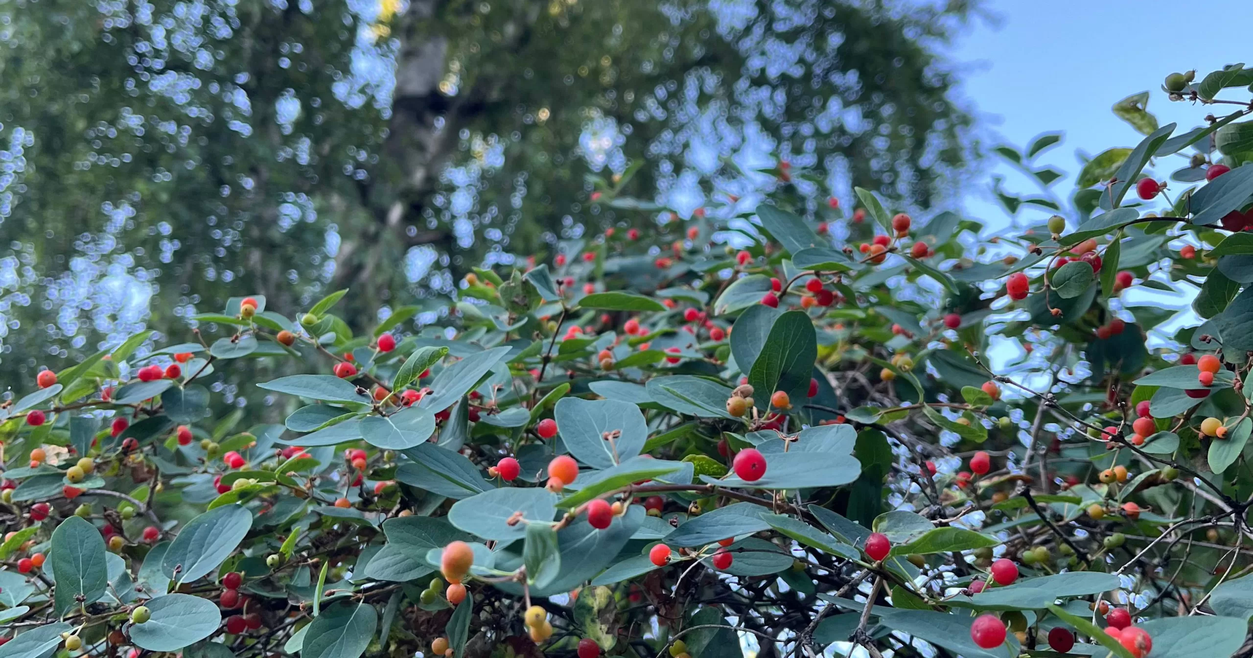 Иллюстративное фото / Фото Glavnoe.in.ua