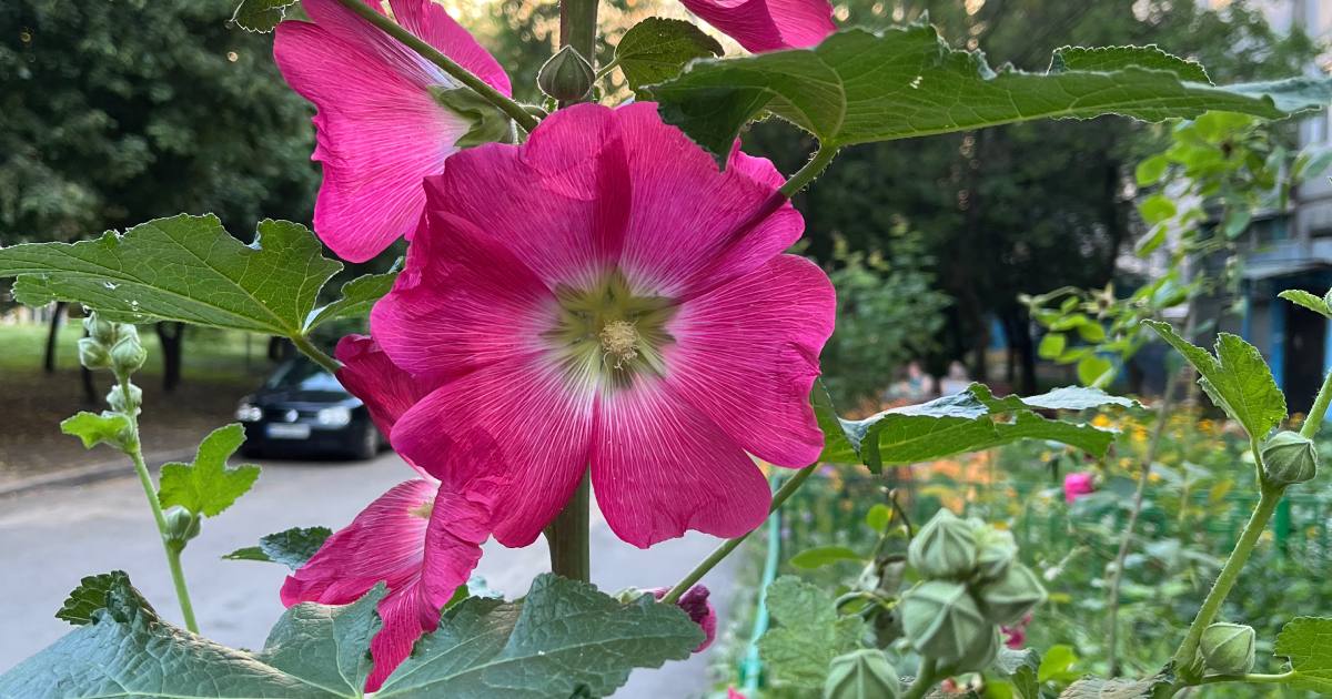 Ілюстративне фото / Фото Glavnoe.in.ua