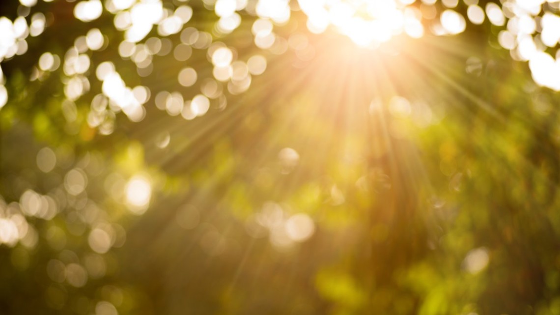 Иллюстративное фото из открытых источников