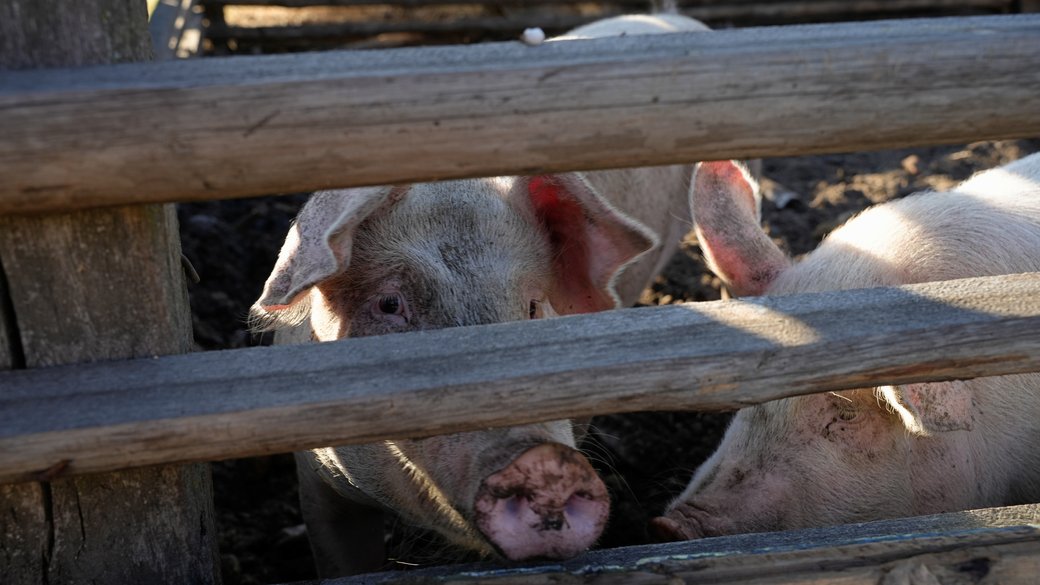 Иллюстративное фото / Суспільне