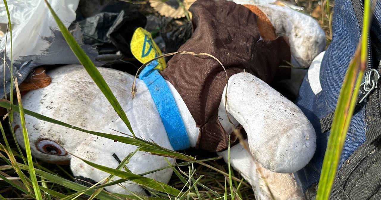 Мягкая игрушка "Пес Патрон", которая была найдена на месте автокатастрофы микроавтобуса и грузовика с автоцистерной / Фото НПУ