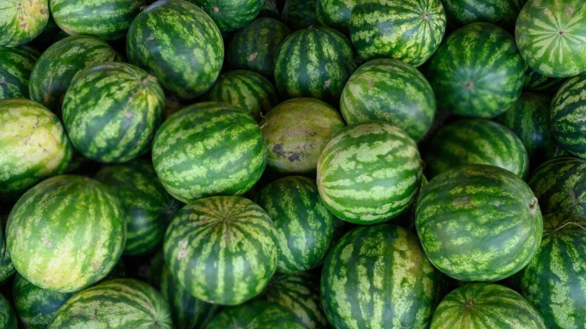 Арбузы / Freepik