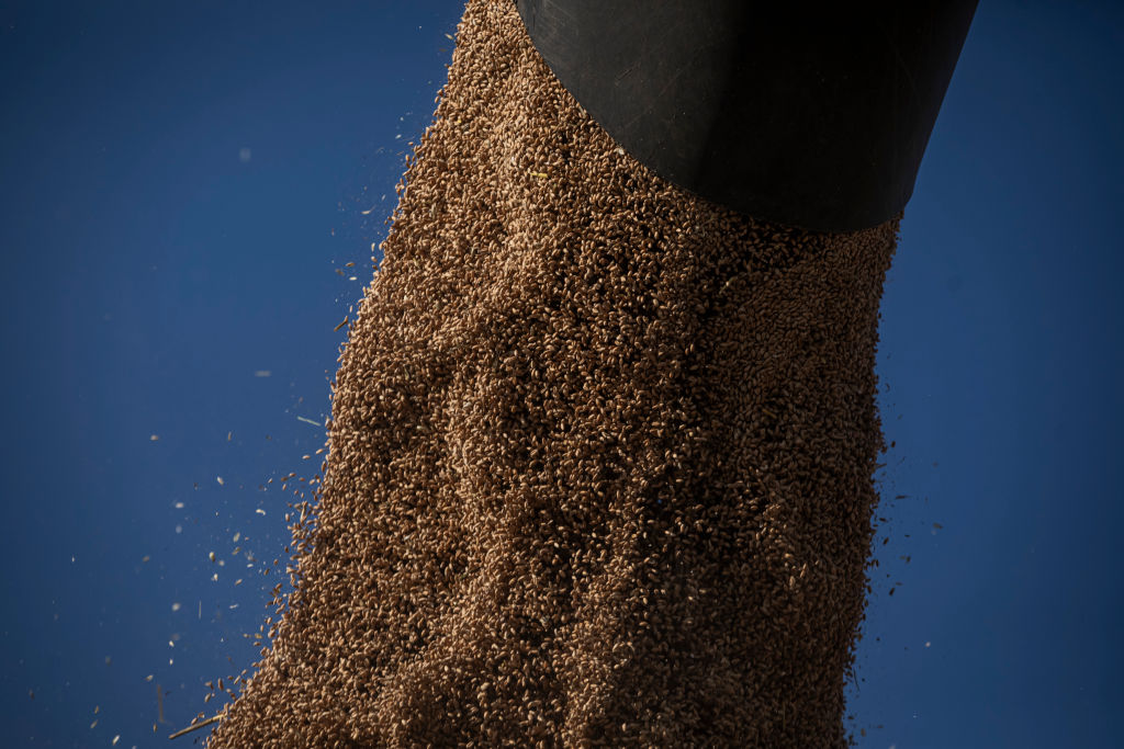 Борошно / Фото: Getty Images/Global Images Ukraine