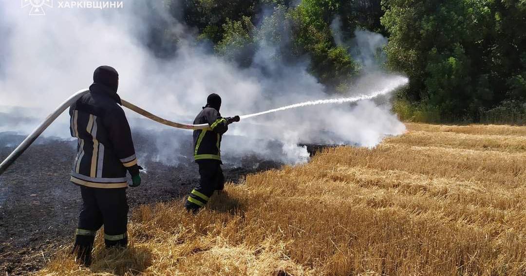 Рятувальники гасять пожежу на пшеничному полі. Богодухівський район. 17 липня 2024 / Фото ДСНС
