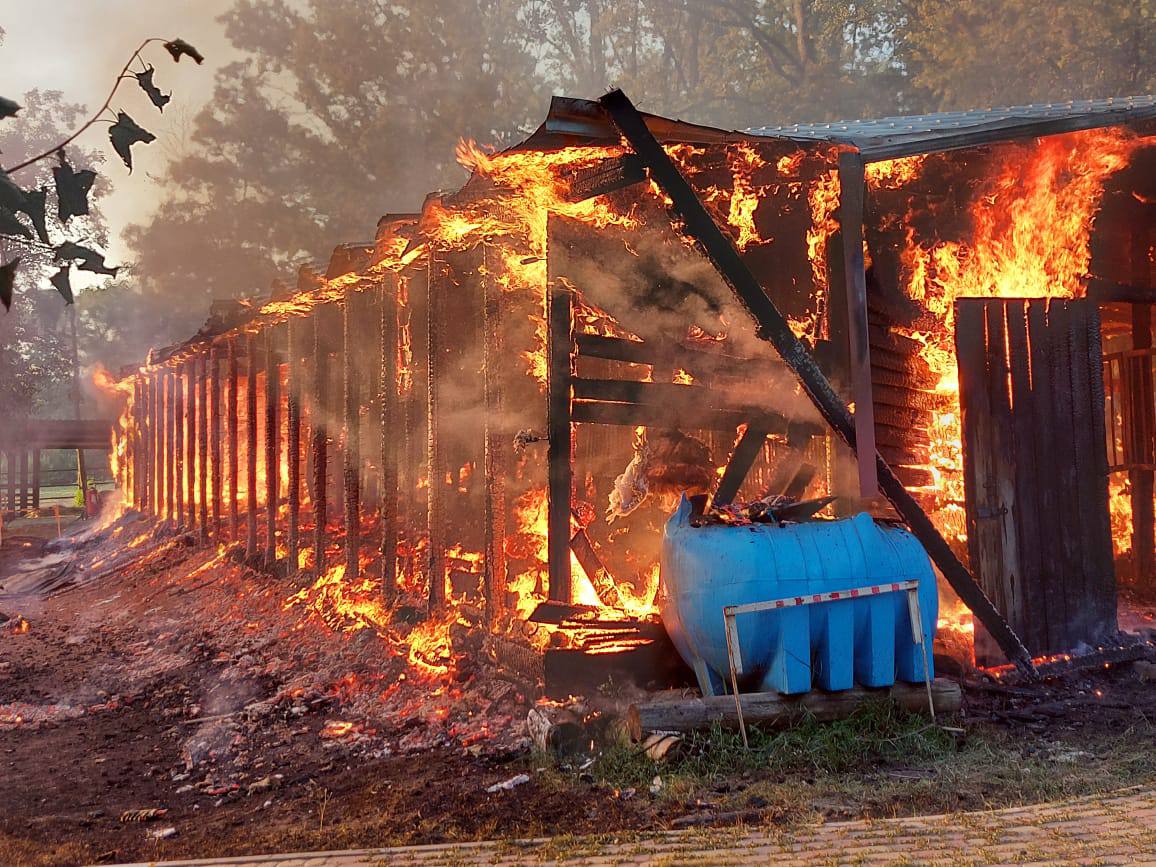 Горящая конюшня в харьковском экопарке / Фото: Фельдман Экопарк