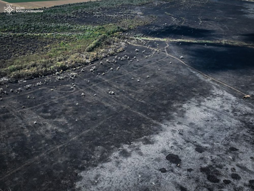 Пожежа сухої трави в Миколаєві сталася на території Кульбакино / Фото ДСНС