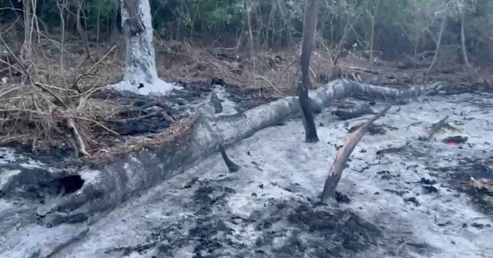 Місце падіння "шахеда" біля населеного пункту Плауру в Румунії / Скриншот відео